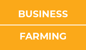 Business/Farming