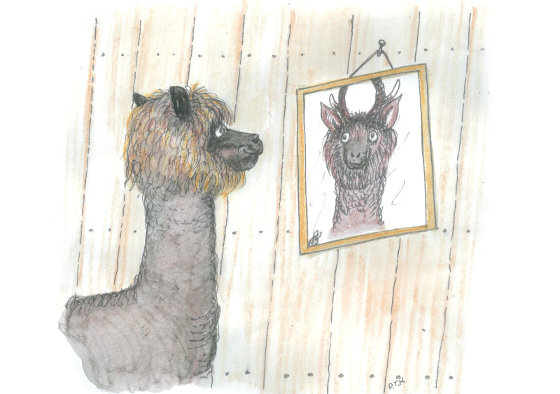 The Alpaca on the Hill