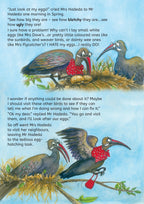 Mrs Hadeda had a problem