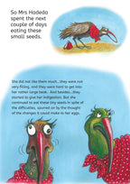 Mrs Hadeda had a problem