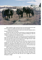A Life in the Mountains