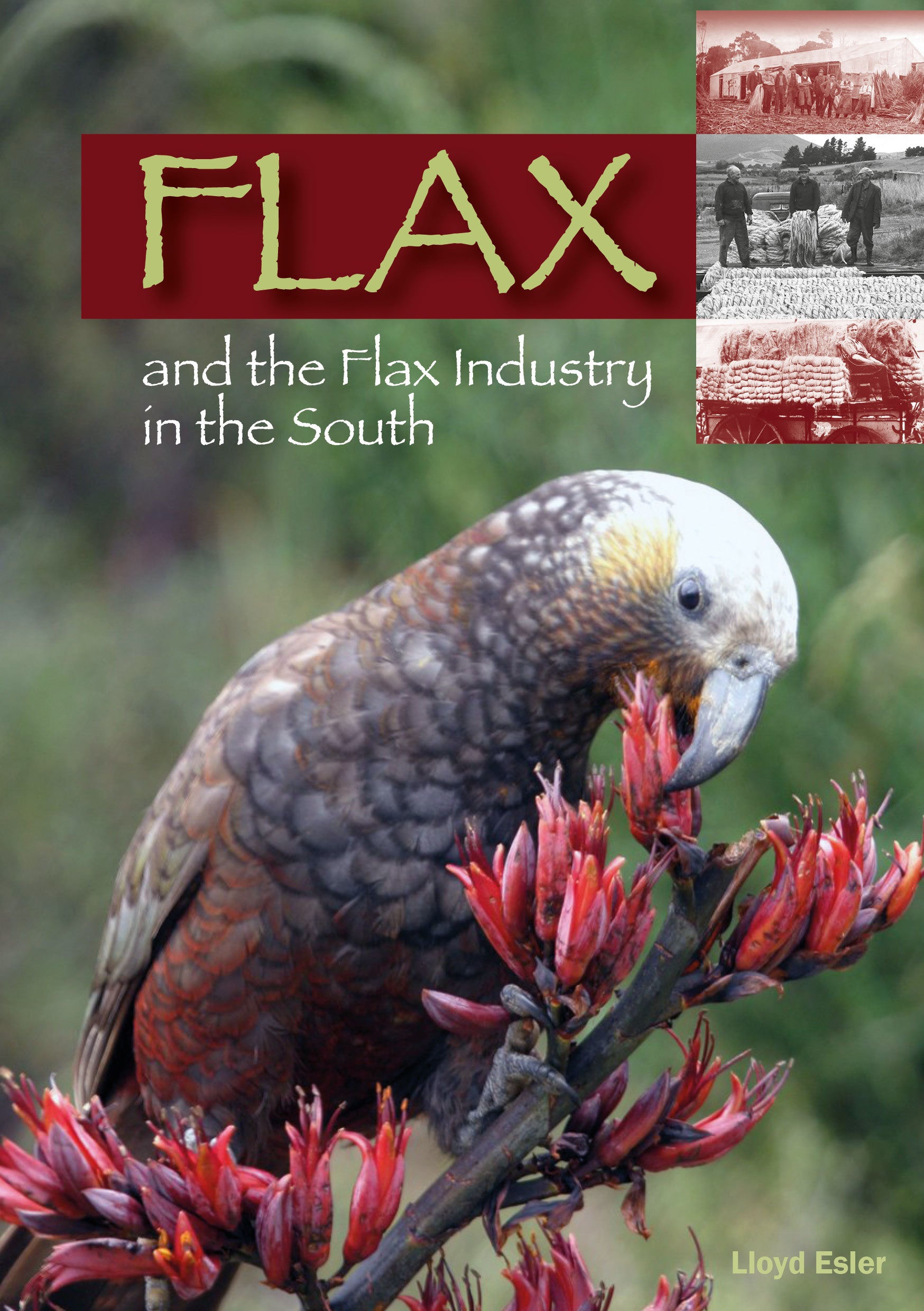 Flax and the Flax Industry in the South