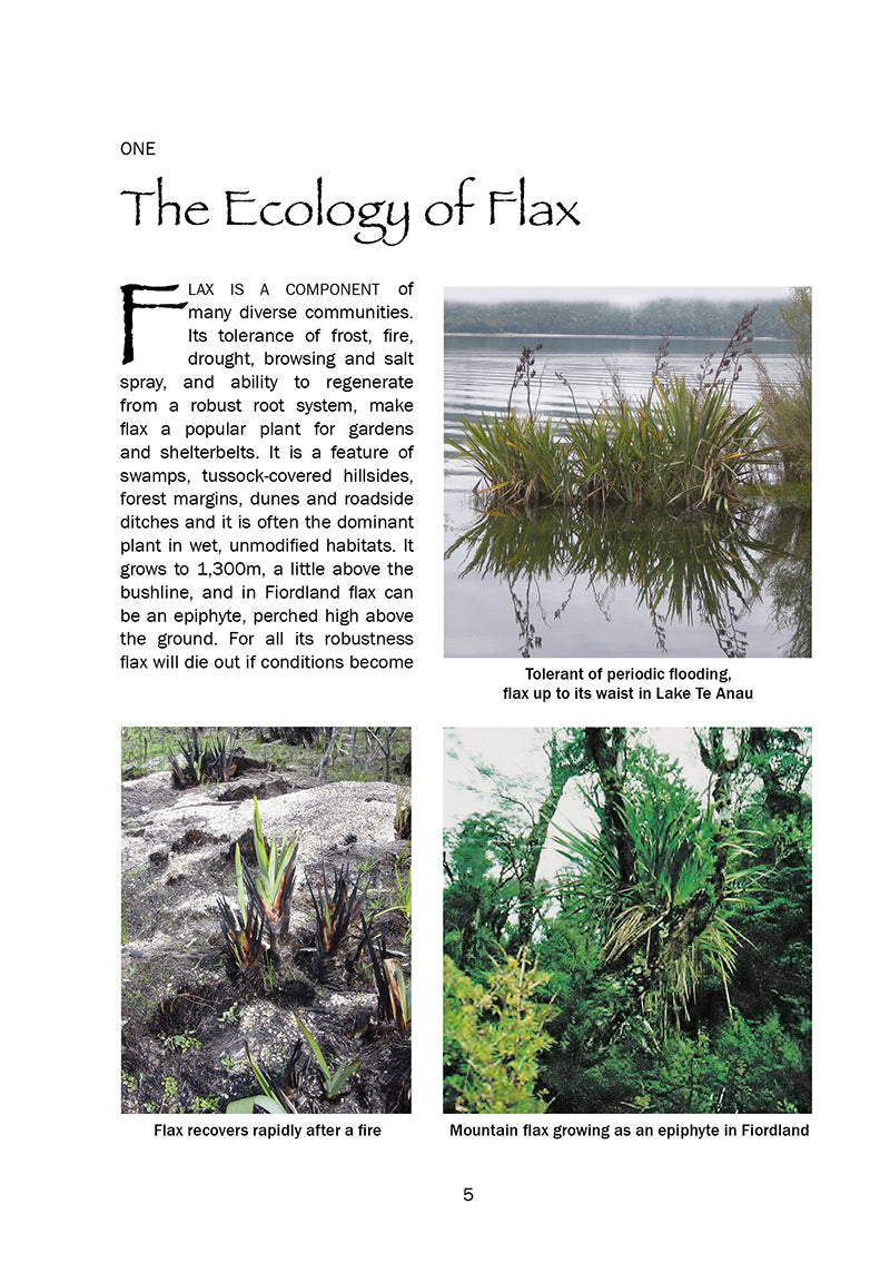 Flax and the Flax Industry in the South