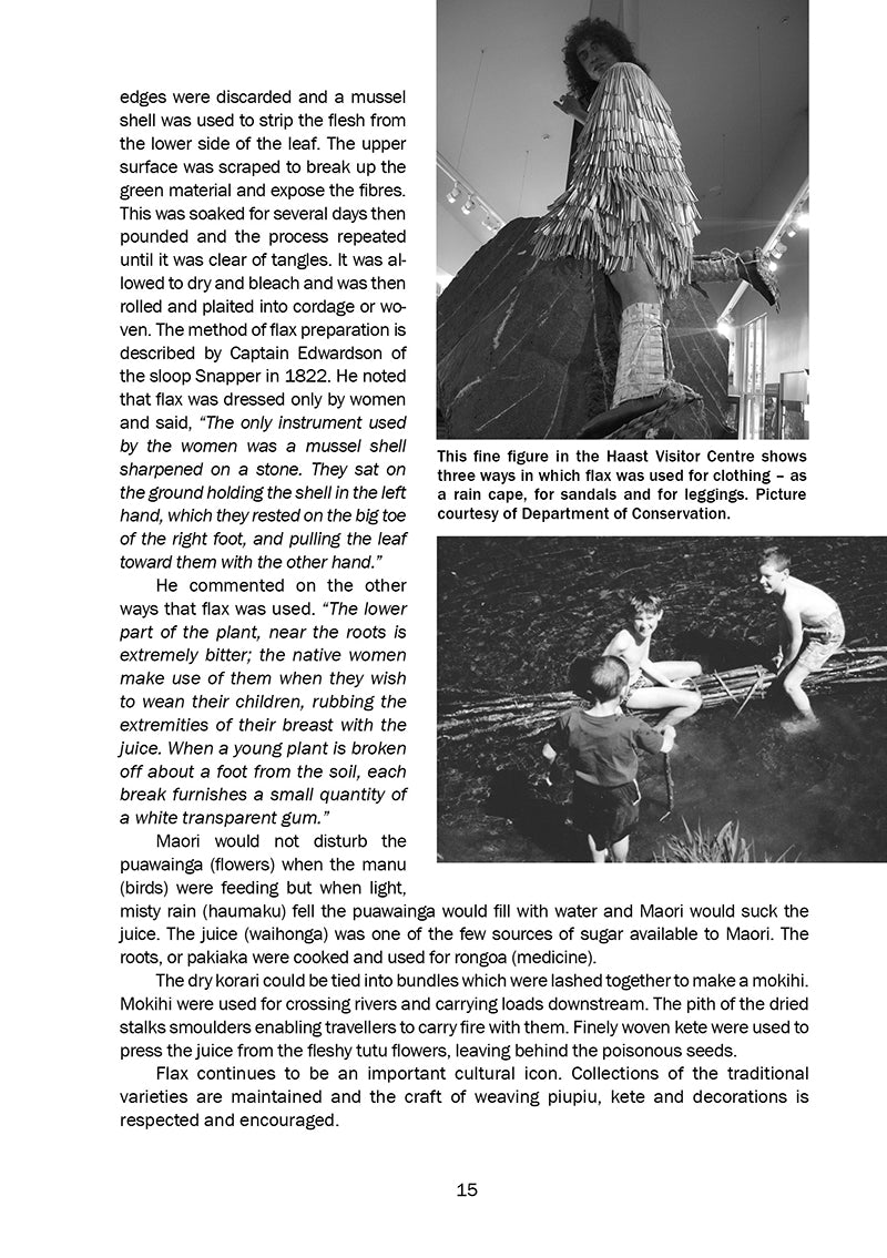 Flax and the Flax Industry in the South