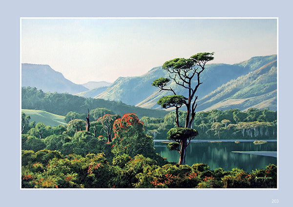 Paintings from my Palette