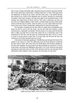 Rabbits and Possums in New Zealand