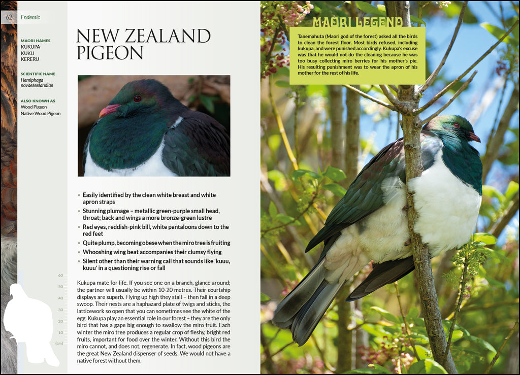 Ulva Island: A Bird & Visitors Guide