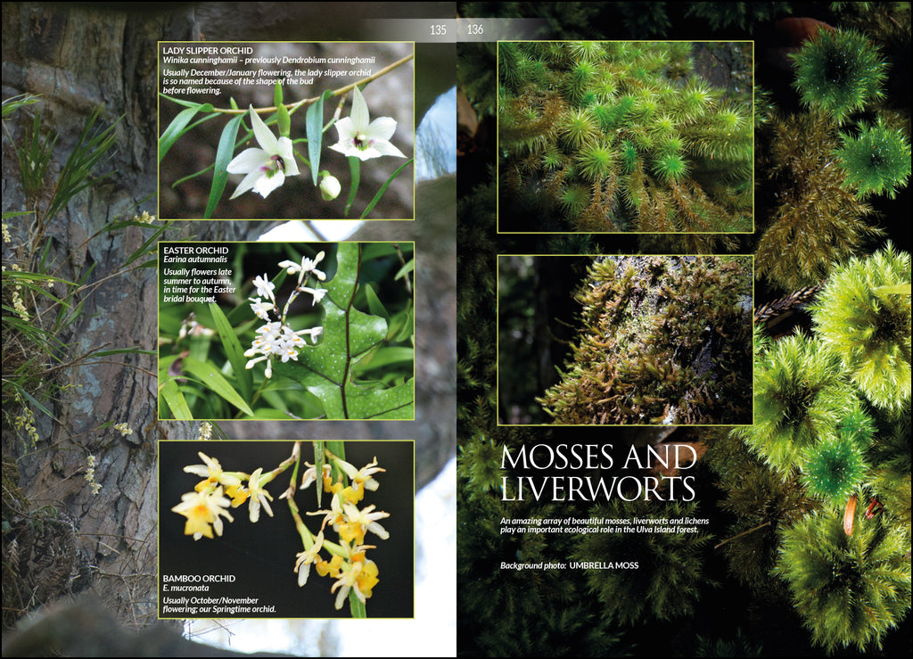 Ulva Island: A Bird & Visitors Guide