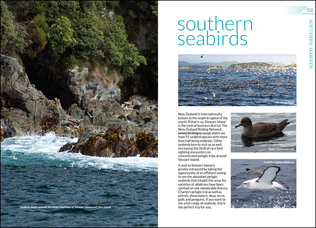 Ulva Island: A Bird & Visitors Guide