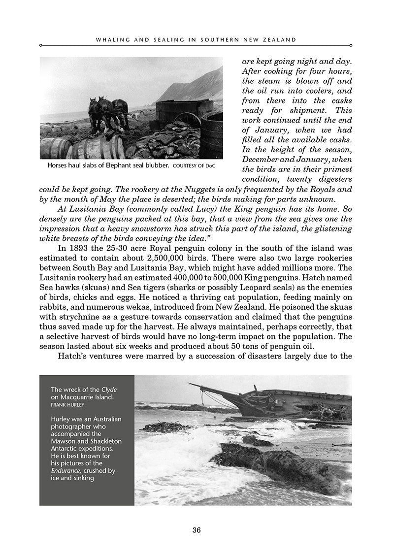 Whaling and Sealing in Southern New Zealand