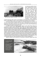 Whaling and Sealing in Southern New Zealand