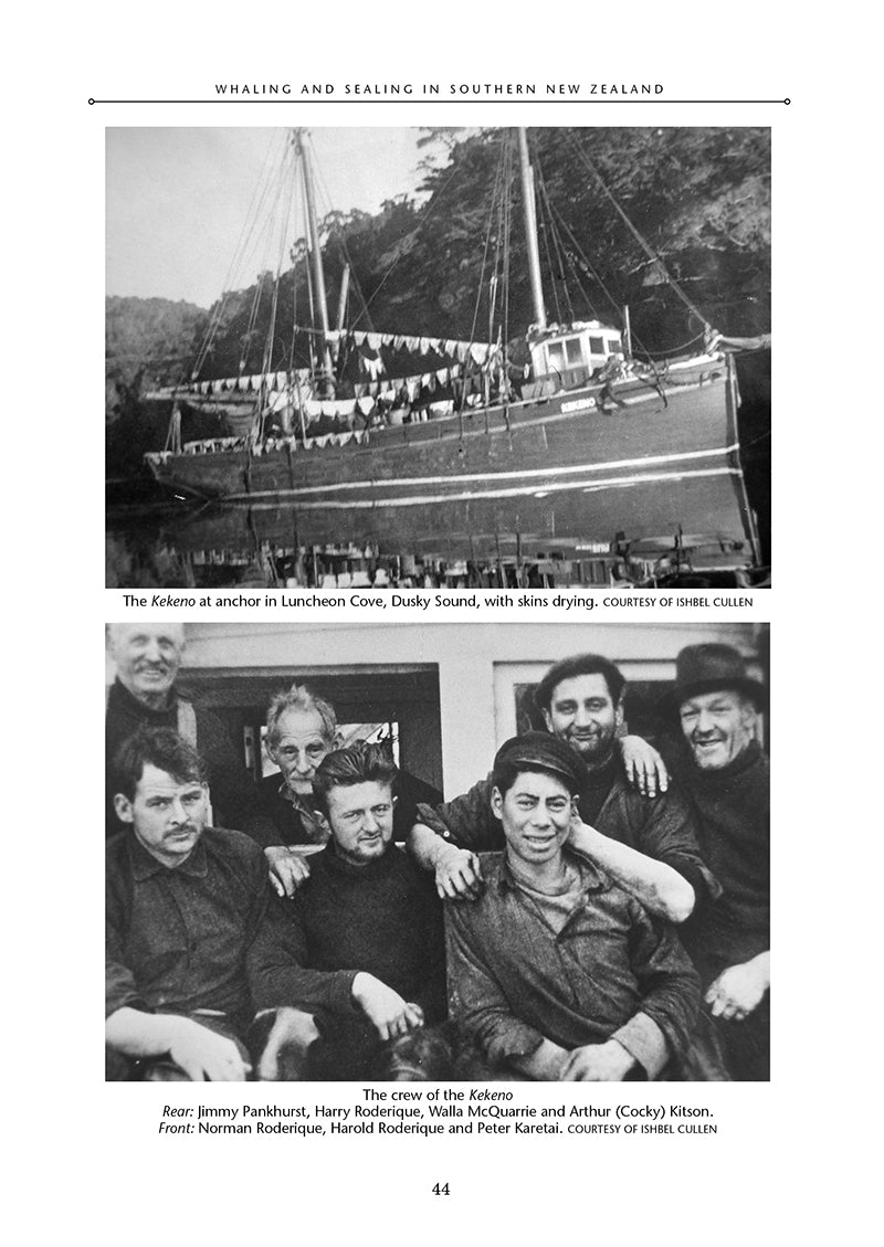 Whaling and Sealing in Southern New Zealand