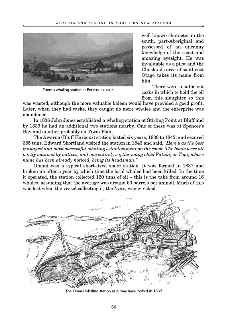 Whaling and Sealing in Southern New Zealand